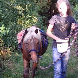 Meet your Posher, Larkin